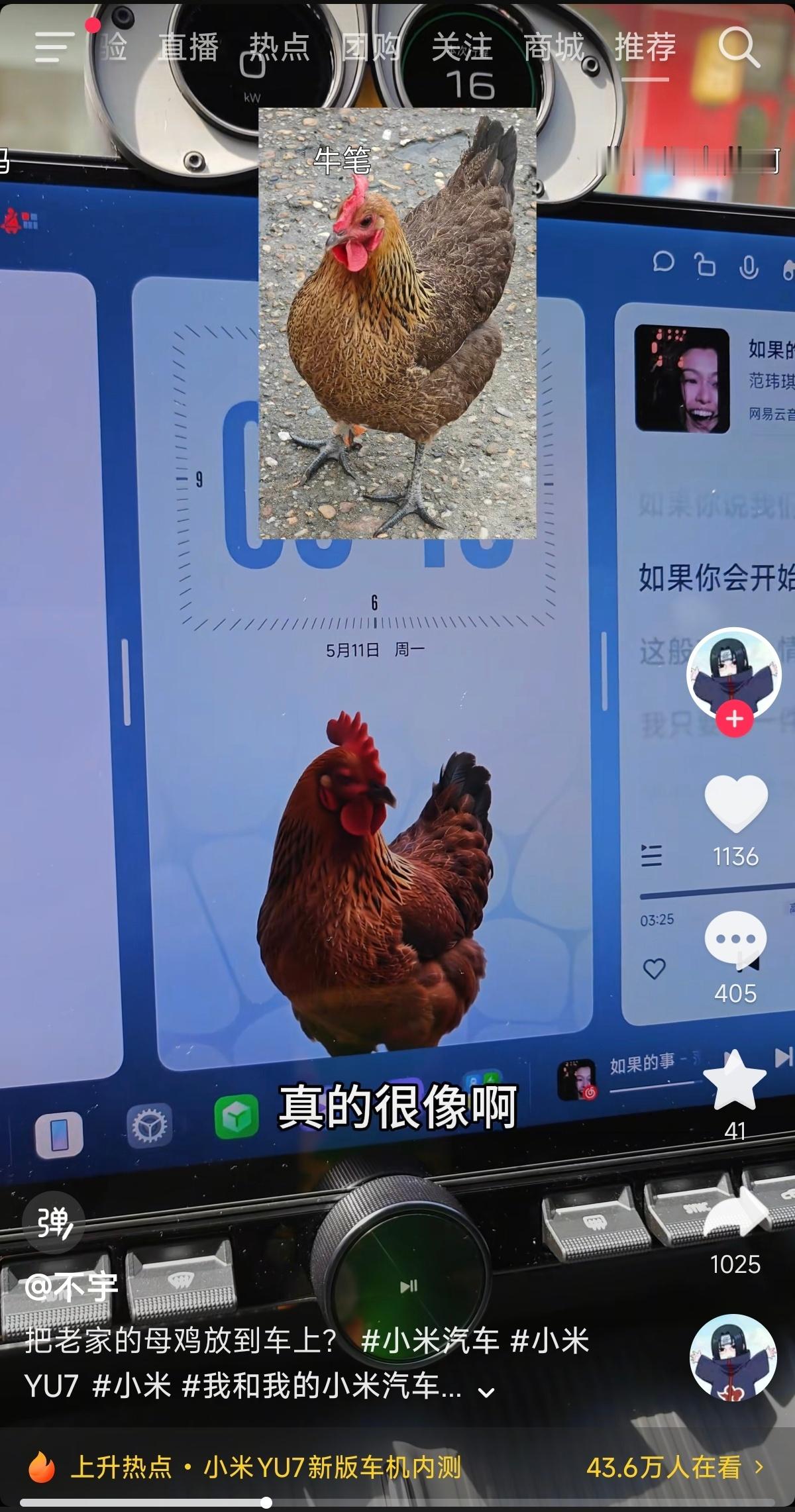 小米汽车智能座舱的萌宠上车功能做得还是太全面了，居然连母鸡萌宠都能上车