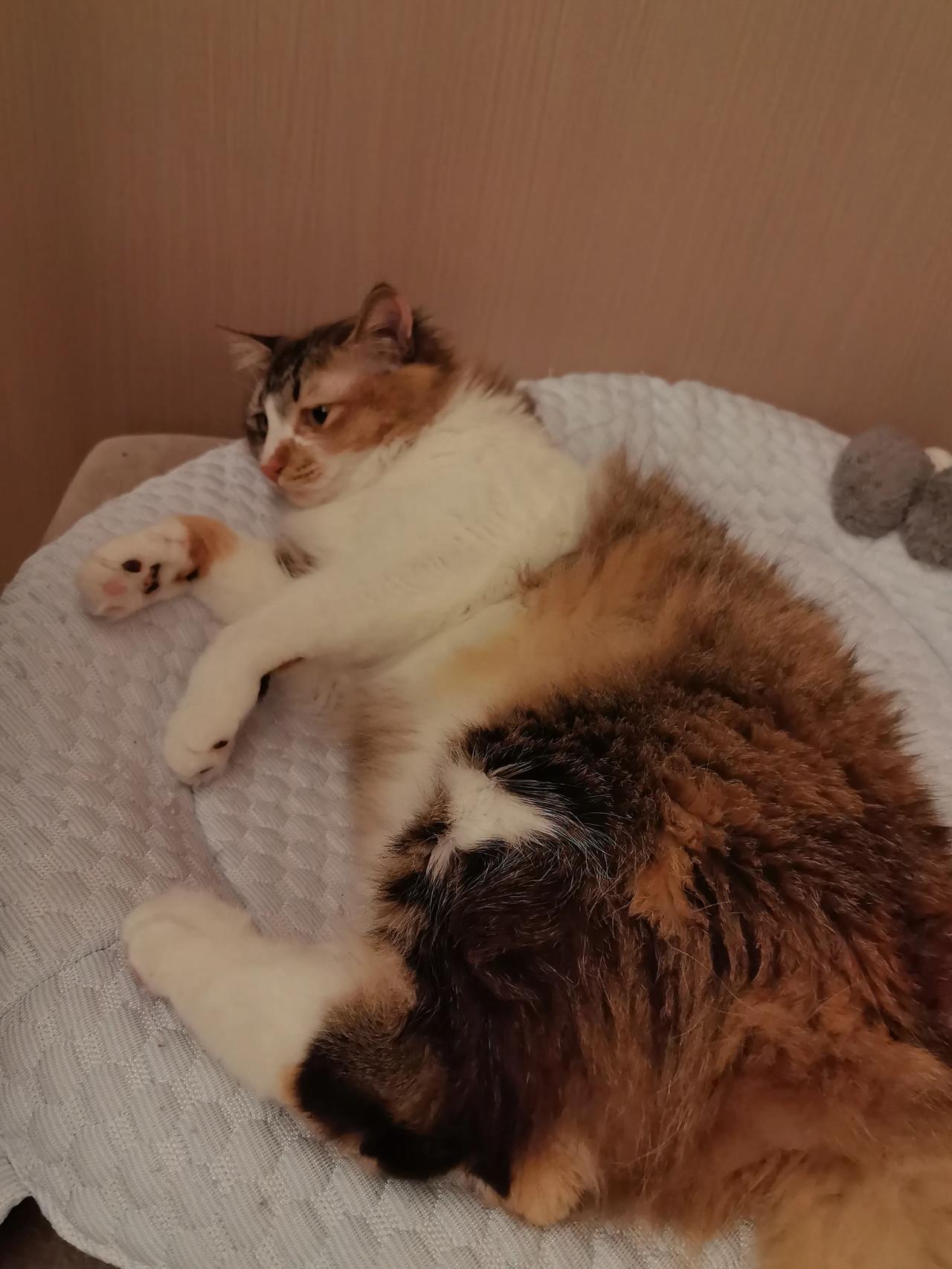 人的一生最大的财富是什么?