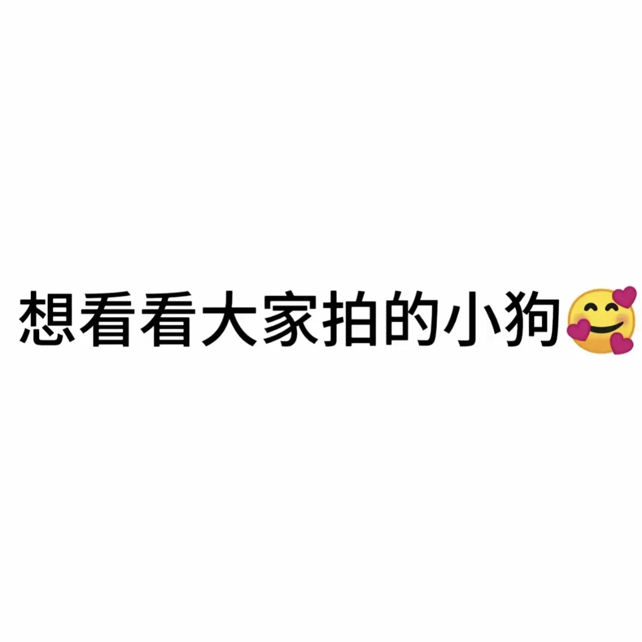 想看看大家手机里的小狗。拒绝网图哟！我先来发我家的小狗