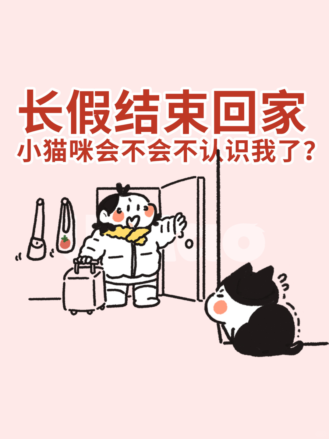 长假结束回家，小猫咪好像不认识我了？咋办