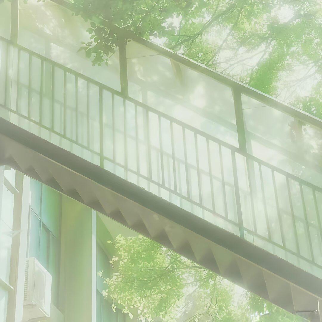 绿色系背景图⁺ ♡˖ 恋 とクローバー🍀 ·̩͙⊹⁺ ​​​