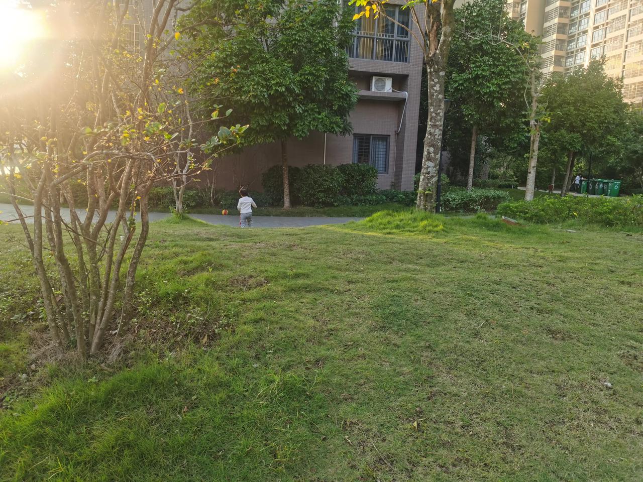 #我拍到的落日瞬间# 今天天气很好，昨天又下雨又冷，今天阳光明媚，很凉爽。下午和