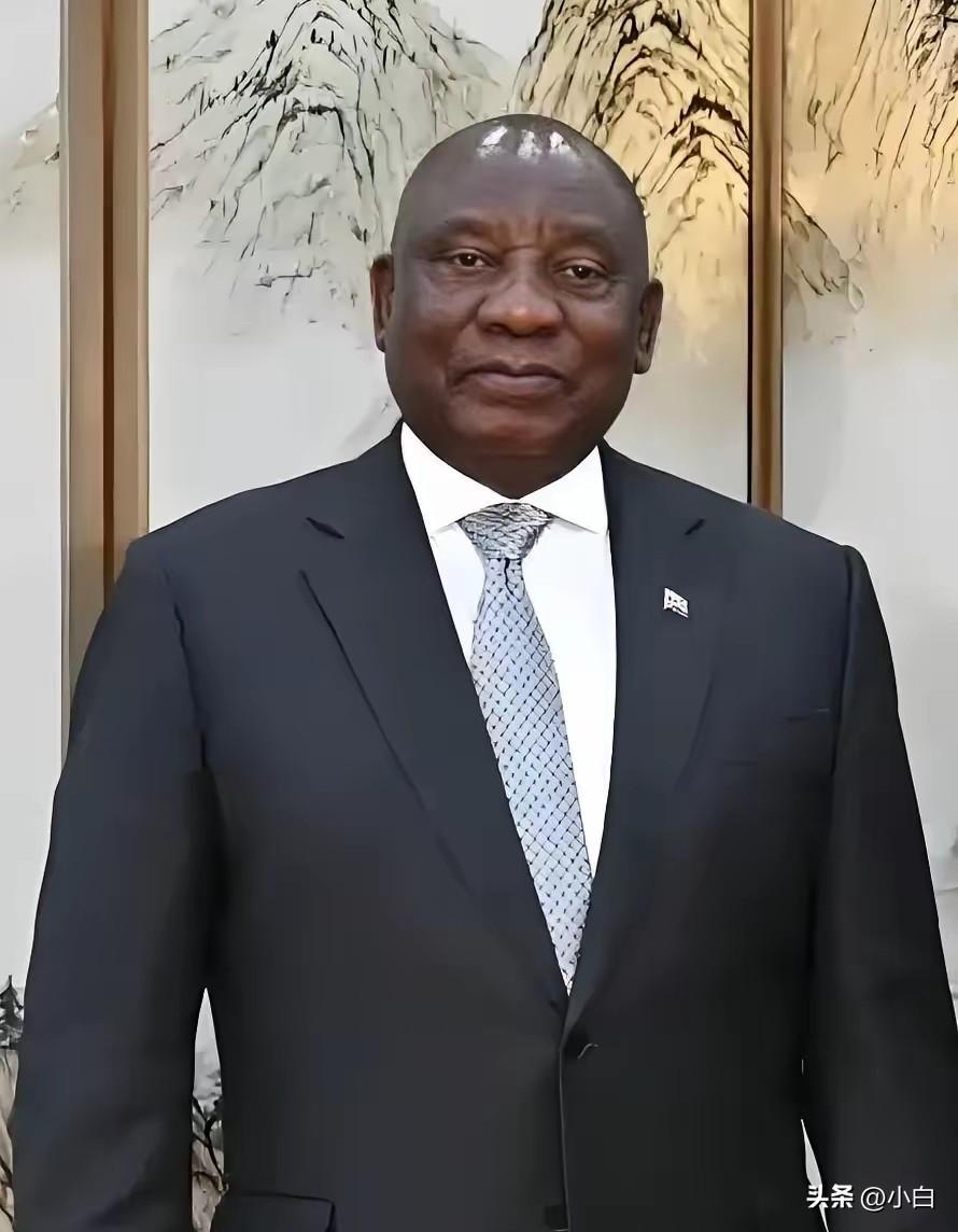 南非这一刀，砍得真狠！中国钢企在非洲彻底“芭比Q”了。就在3月20日，南非国际贸