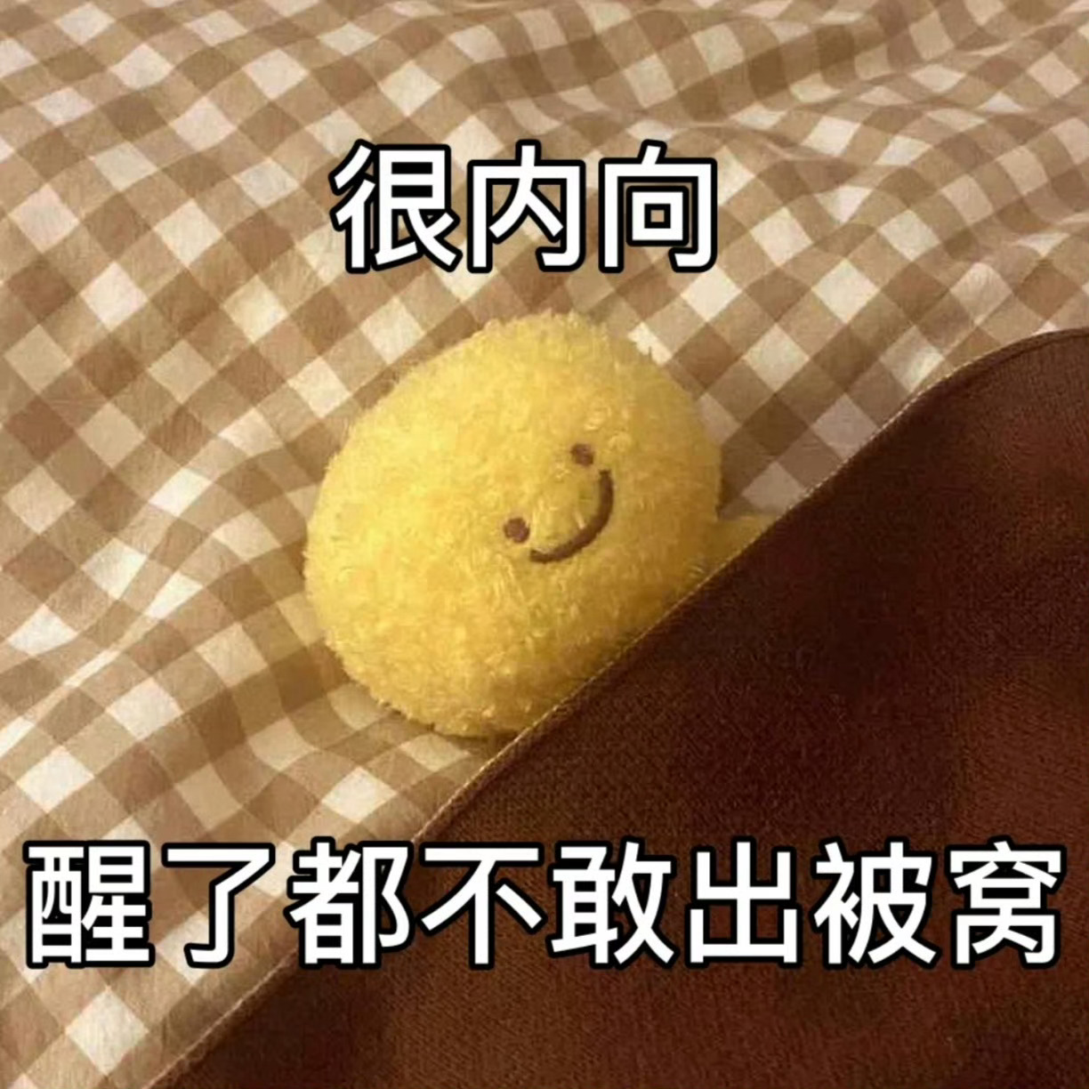 早上好，你们放假了没？[doge] 