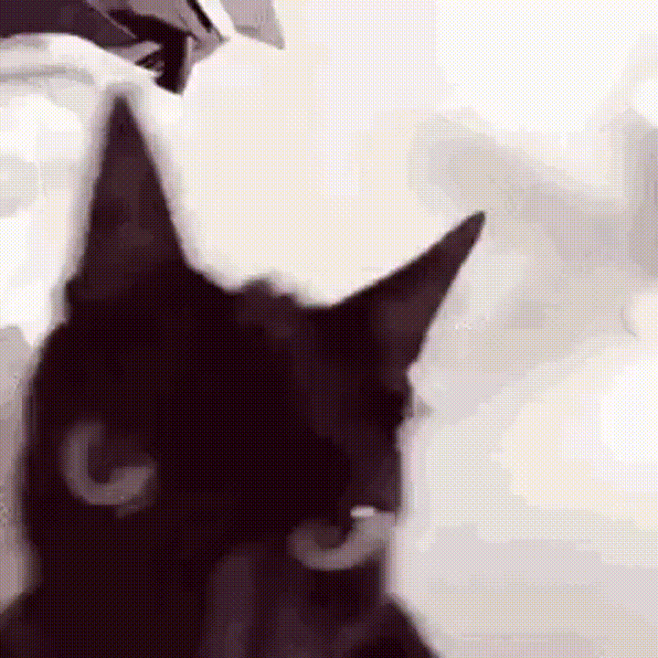 这个亖三台卡的我很着急 ​​​