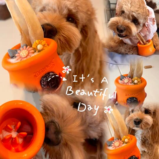 阿七的消暑下午茶🧊🍧🍨