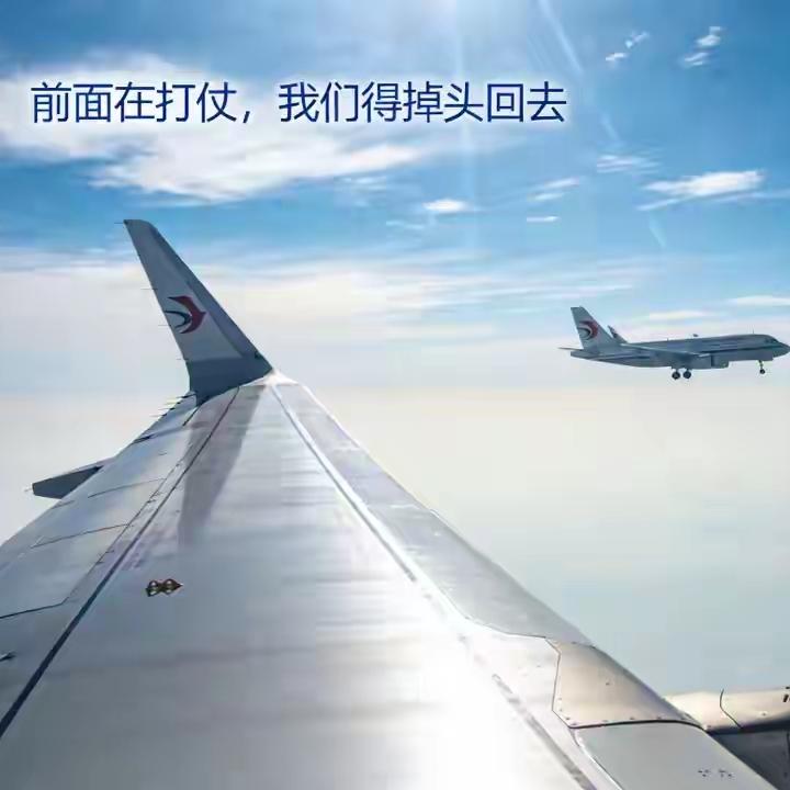 飞机飞到一半，
机长突然广播：
前面在打仗，我们必须掉头返航。这句话，比任何颠簸