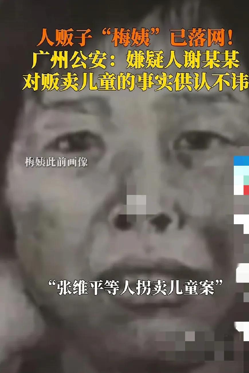 人贩被捕，举国同庆！因果轮回，报应不爽啊！天道好循环，苍天饶过谁！不是不报，是时