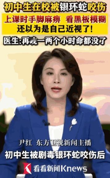 “初生牛犊不怕虎”，5月15日光明网报道，广州一名 14 岁初三男生小陈，就因为