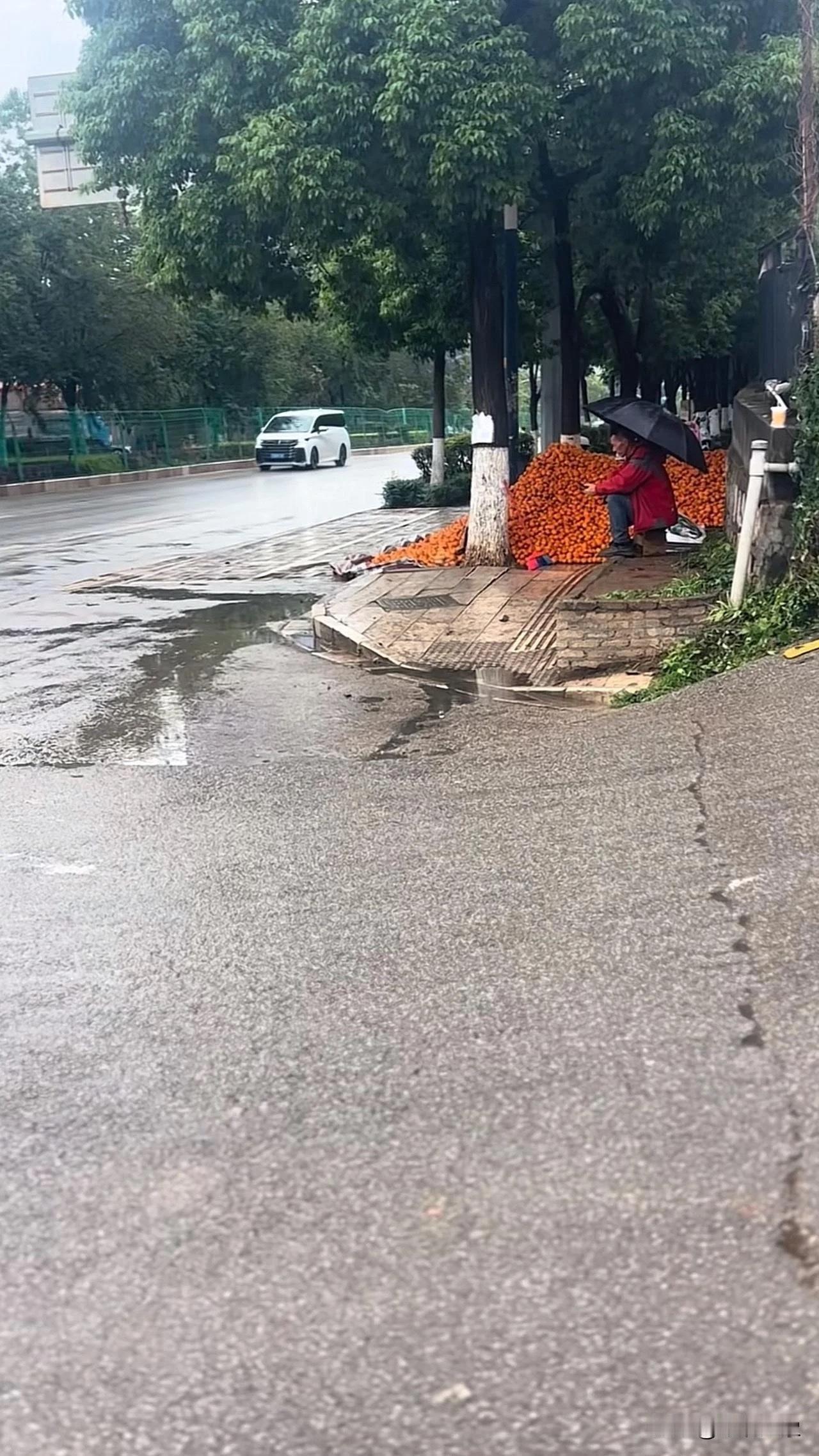 下雨生意不好做【@头条逗趣小鲁班】