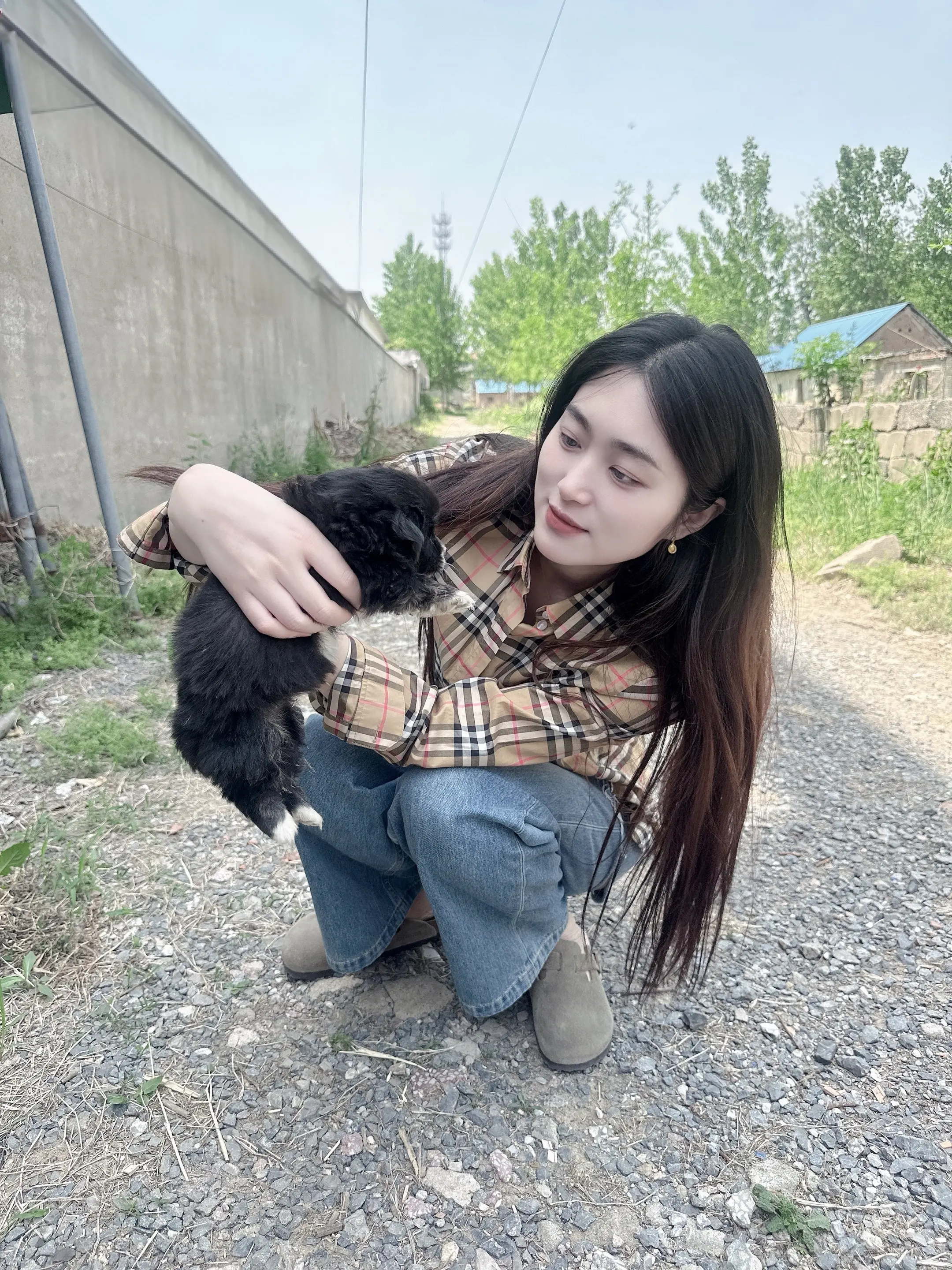 村里的小奶狗