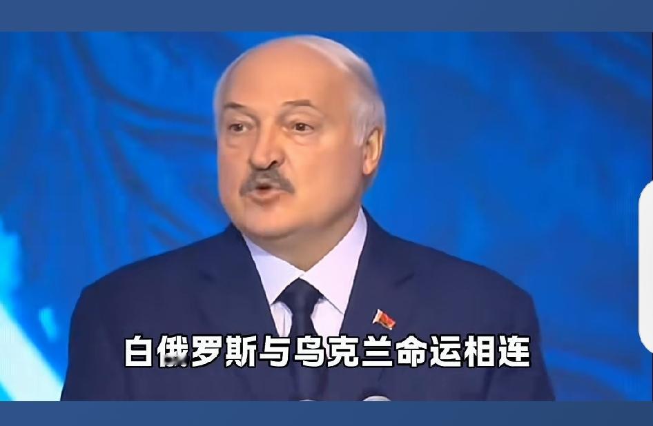 白俄罗斯和乌克兰是兄弟，白俄罗斯要和乌克兰修复关系…

卢卡申科祝贺乌克兰独立日