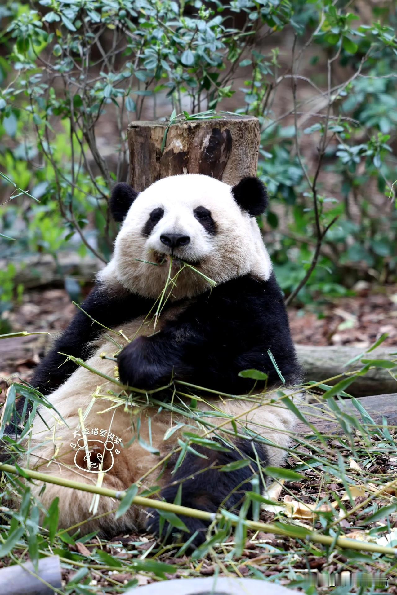 今天是什么原因让你有如此的表情？

我突然间想到，私底下你会对谭爷爷发脾气，会争