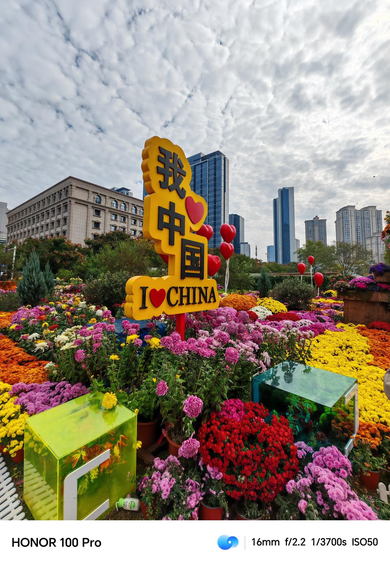 冬日生活打卡季沙湖公园菊展，繁花似锦，美不胜收。