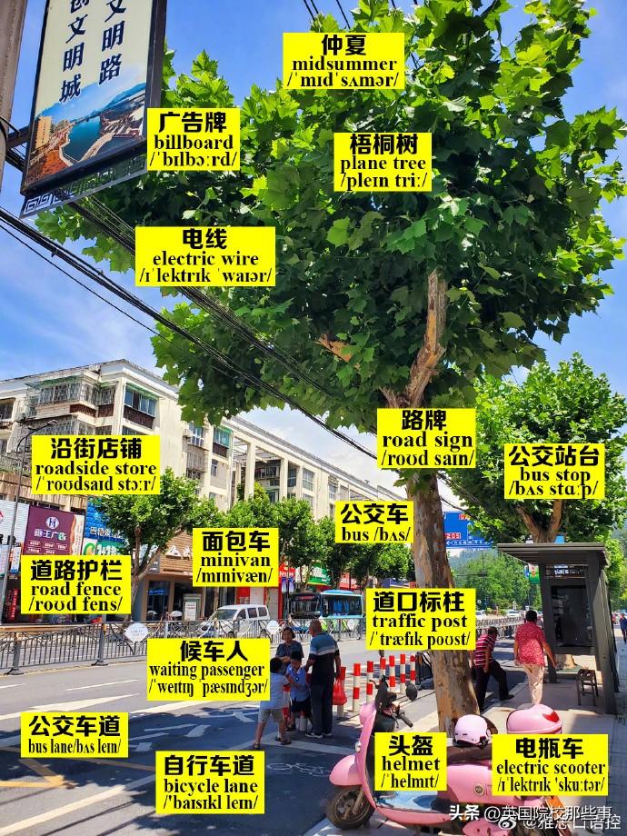 大街上的这些东西用英语怎么说？？