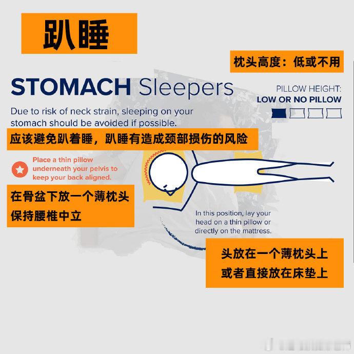 侧躺时脊柱的状态变化 不同的睡姿，脊柱的状态也是不一样的，为了维持脊柱的中立位，