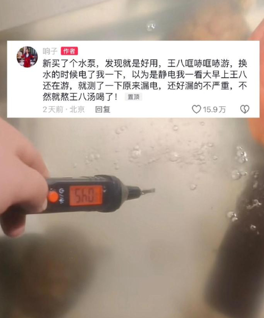 以为乌龟喜欢扑腾没想到是漏电了 ​​​#我的春日狂欢日记# ​​​