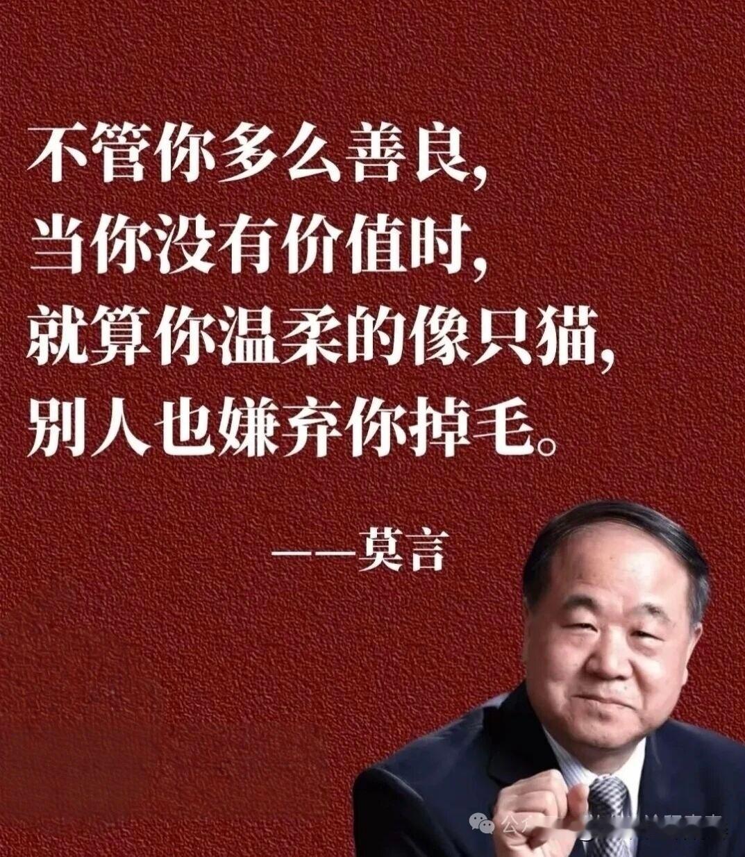 "不管你多么善良， 
当你没有价值时，
就算你温柔的像只猫，
别人也嫌弃你掉毛。