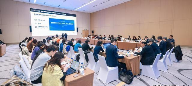 谁能想到，在全球车企排着队给美国英伟达送钱、抢算力的时候，中国的新能源巨头们却在
