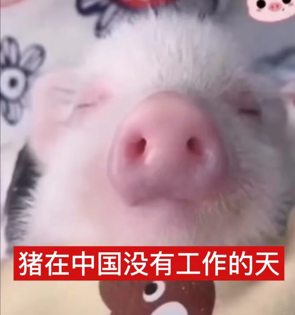 为了看实时字幕孝了会员从今天起每天监督老花直播必须把我的会员播回本谢谢 
