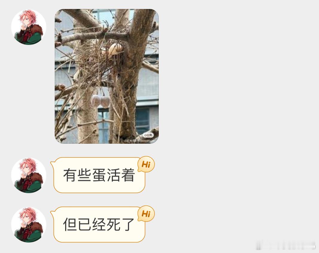 ？？？珠颈斑鸠的危房… ​​​