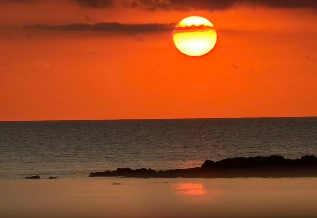 周迅分享了一组日常图片～“你应该认识我，但你应该没看过我拍的照片  抽空清内存，