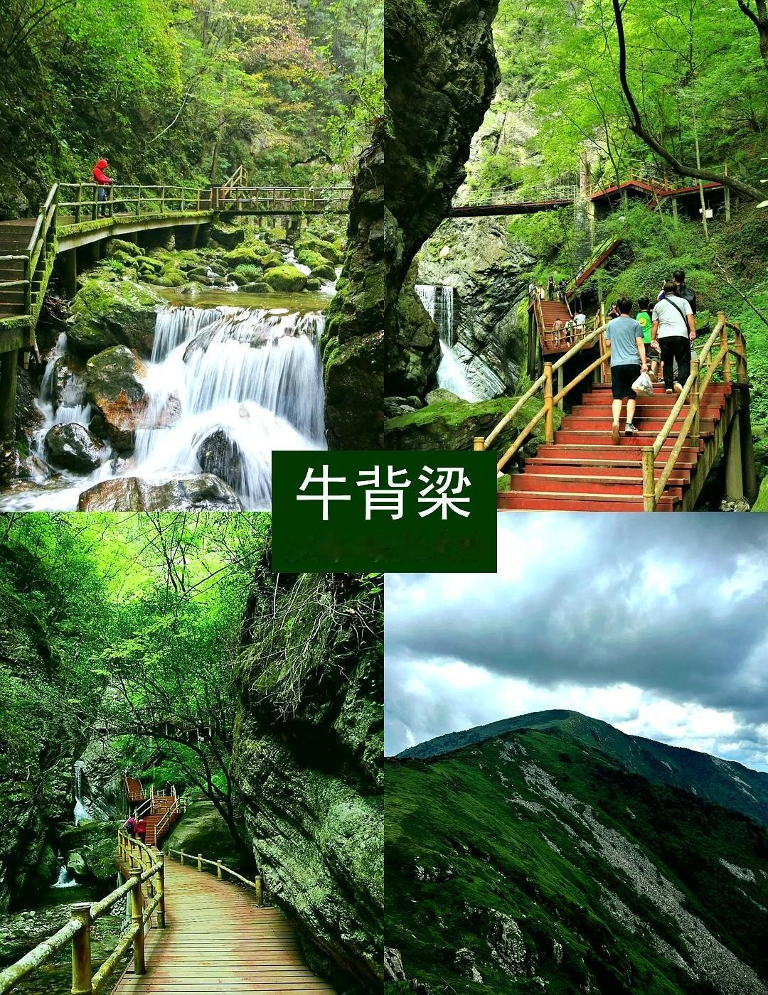 牛背梁一日游·云海踏青洗肺攻略
上周二刷了牛背梁🥳，真的是西安周边我去过舒适度