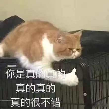 20多岁的人生优先选择随心所欲 不用追赶同龄人既定节奏，20多岁优先取悦自己，想