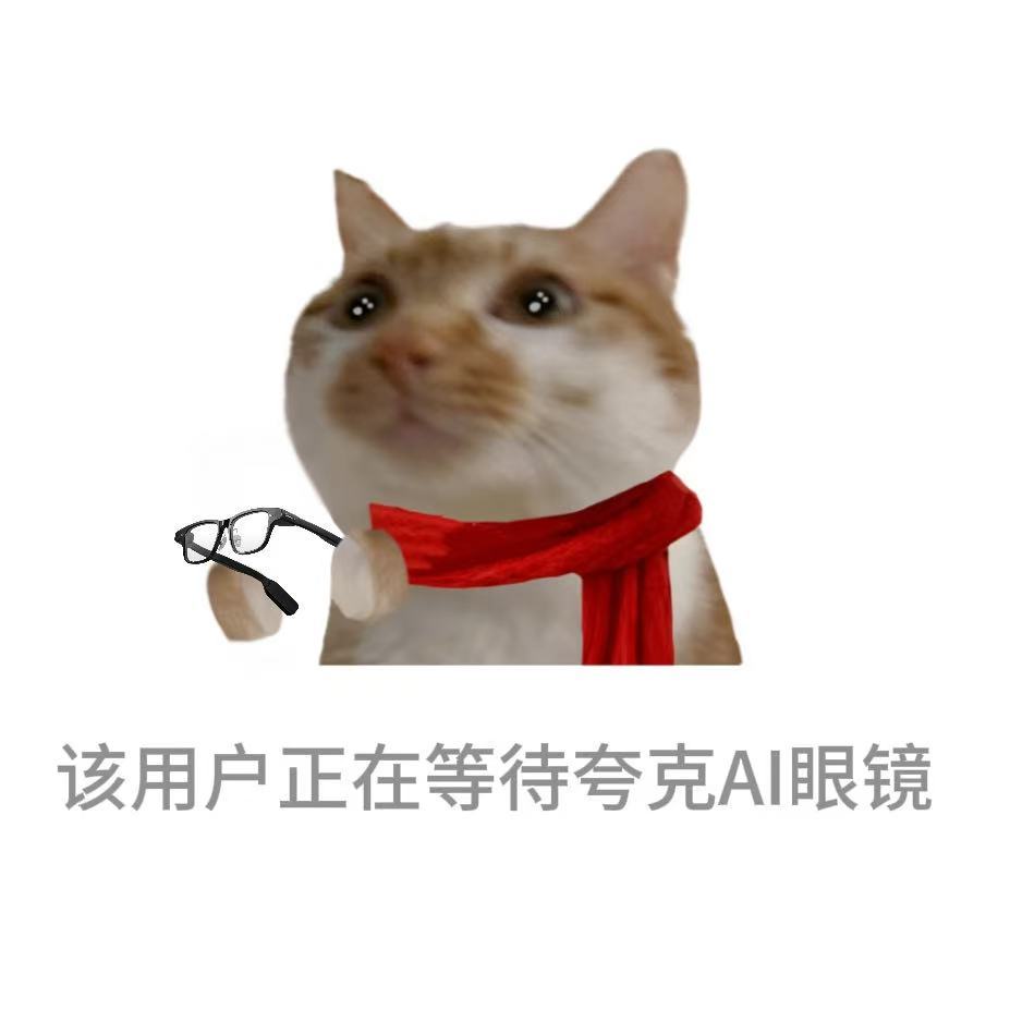 过年时我的嘴替春晚翟佳宁聊春运，我在心里默默立flag：明年春运，夸克AI眼镜不