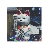 瑜聚聚体育