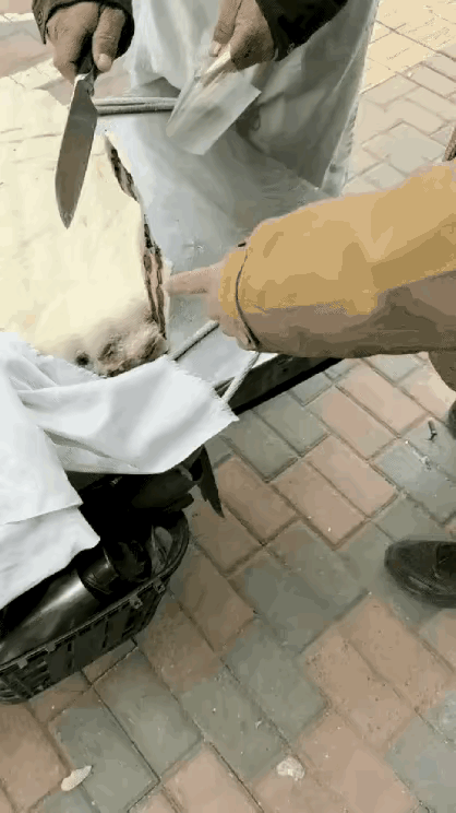 你这不是开玩笑吗