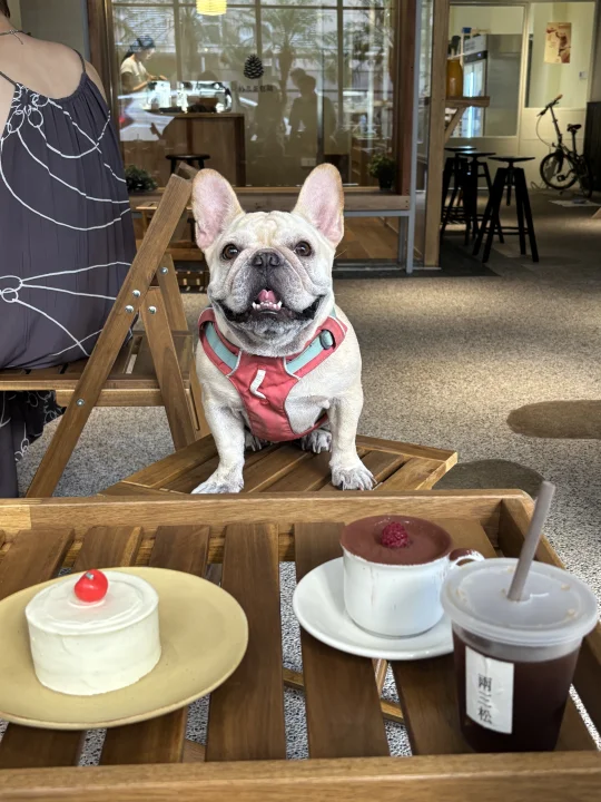 家人们 你们觉得桌上的蛋糕有我的份吗