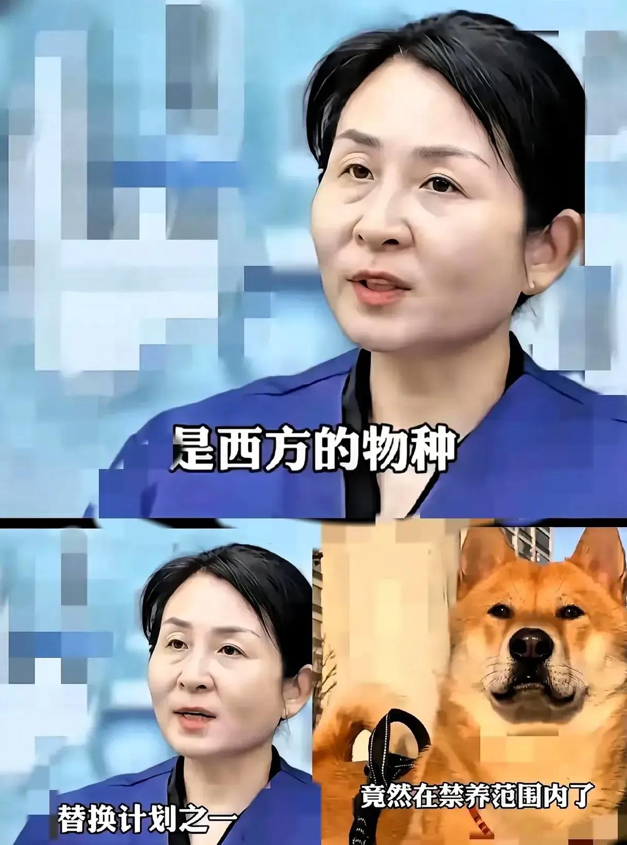 种田？
打螺丝？
搬砖？
没田，怎么种？
多少厂关门了，去哪里打螺丝？
一个个楼