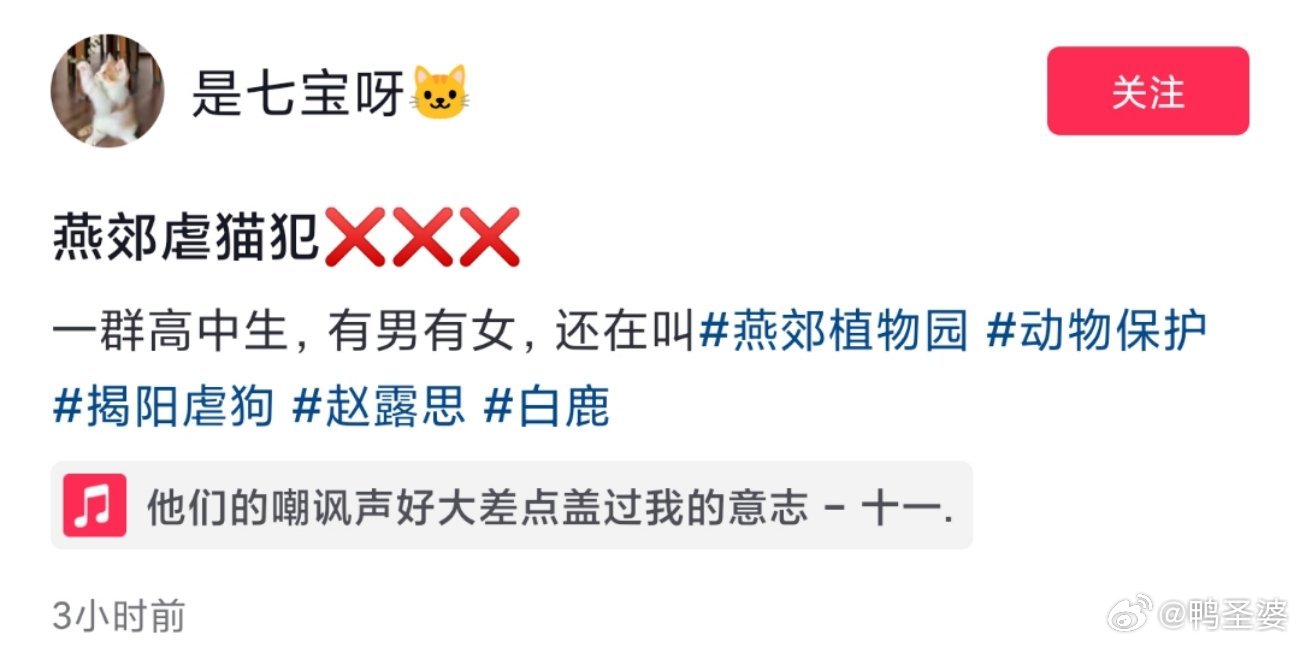 -这是什么情况？？一边说“已经深刻认识到了自己的错误”一边说“牛逼你就来”？？？