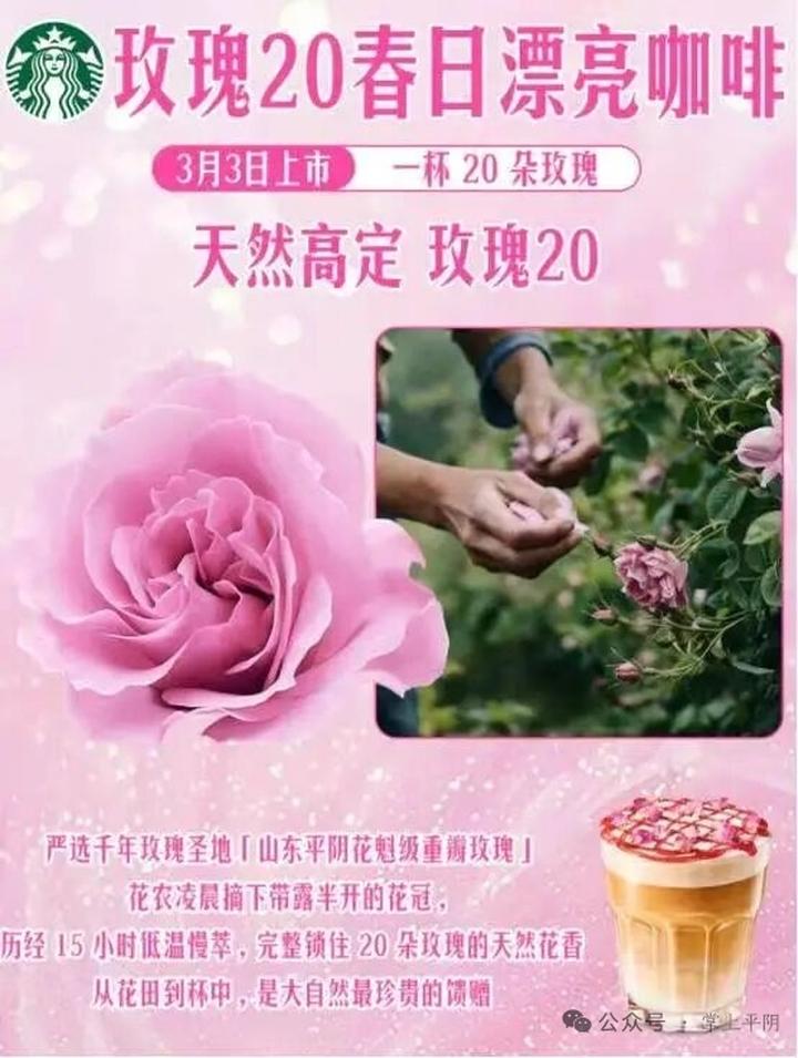 近日，国际知名咖啡连锁品牌星巴克“玫瑰20”春日限定系列产品正式回归，凭借“一杯