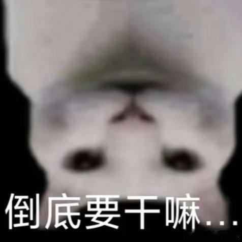 我和我朋友此时大破防大骂千岛已经骂了十五分钟了 