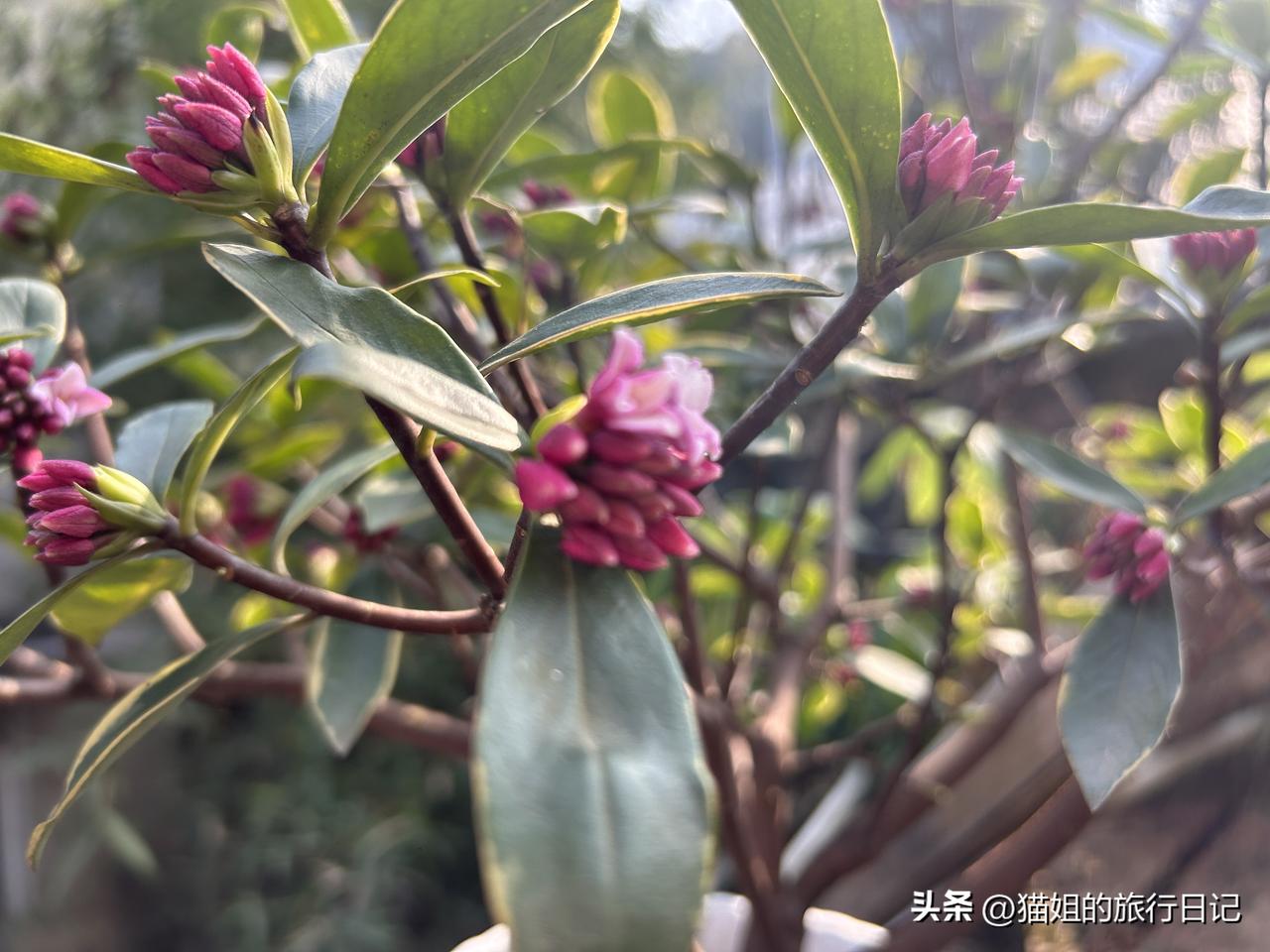 我不贵，但是你不配！
闺蜜和谈了5年的男友分手了！男的大她12岁！
闺蜜前期在南