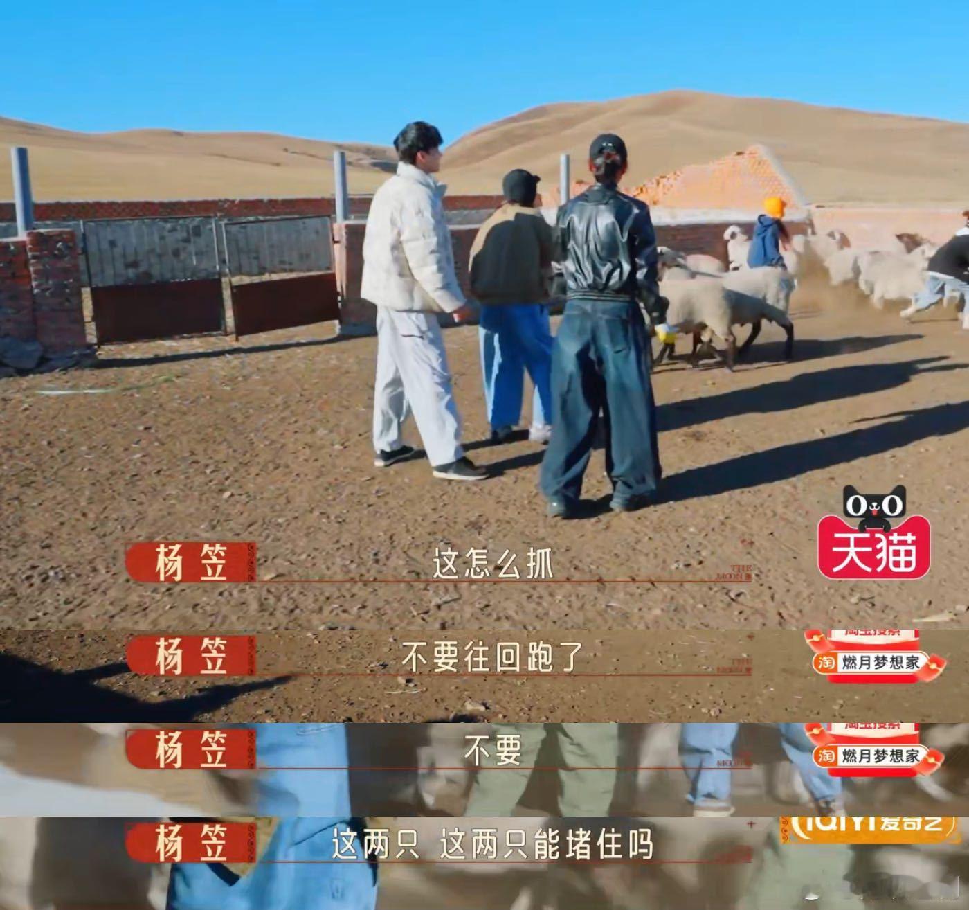 杨笠 我一边追他一边怕把他追上  燃烧的月亮 杨笠抓羊抓出哲学感！“我一边追他，