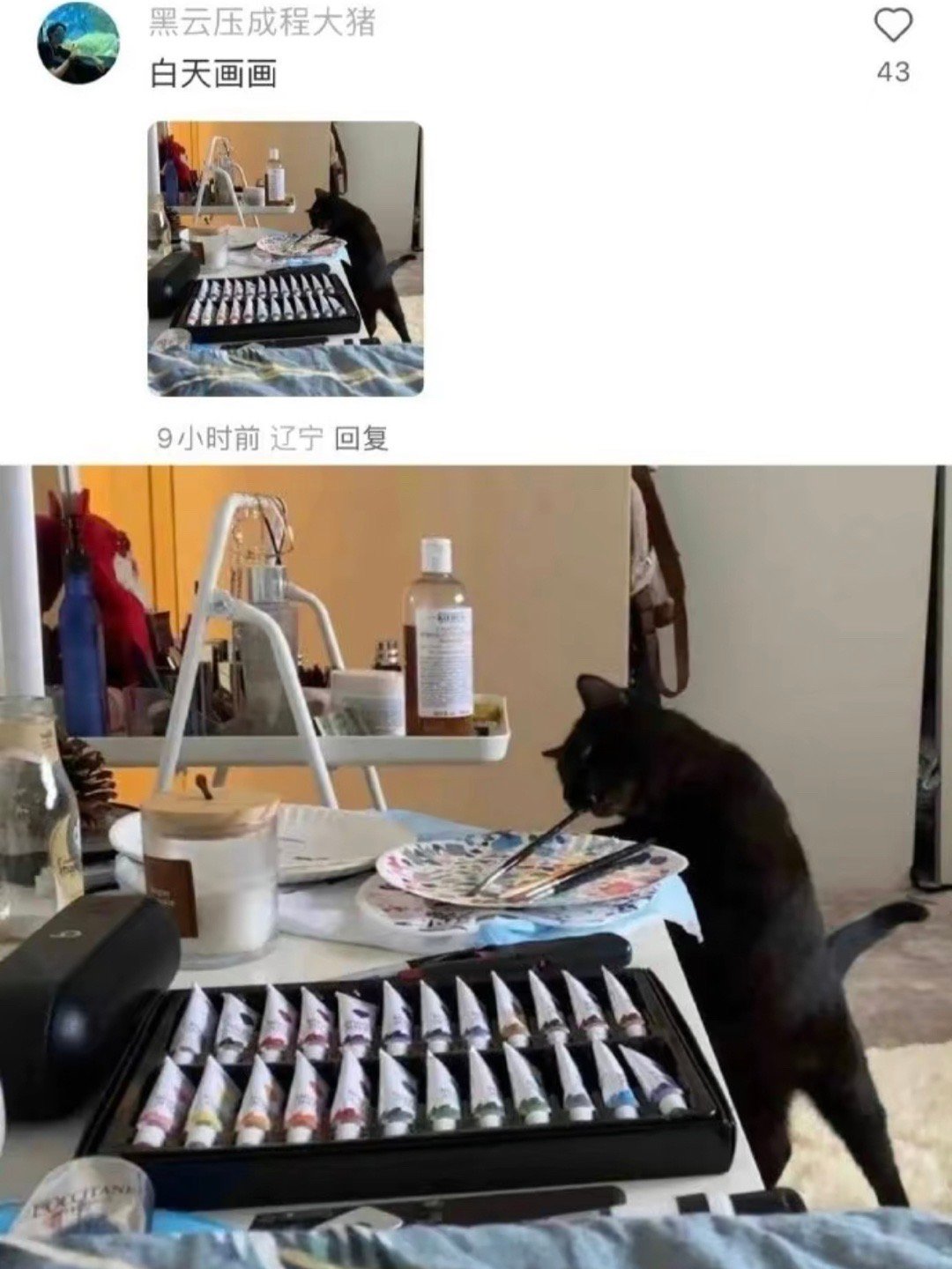 网友发的你家猫猫是做什么工作的 真的太可爱了吧！ ​​​