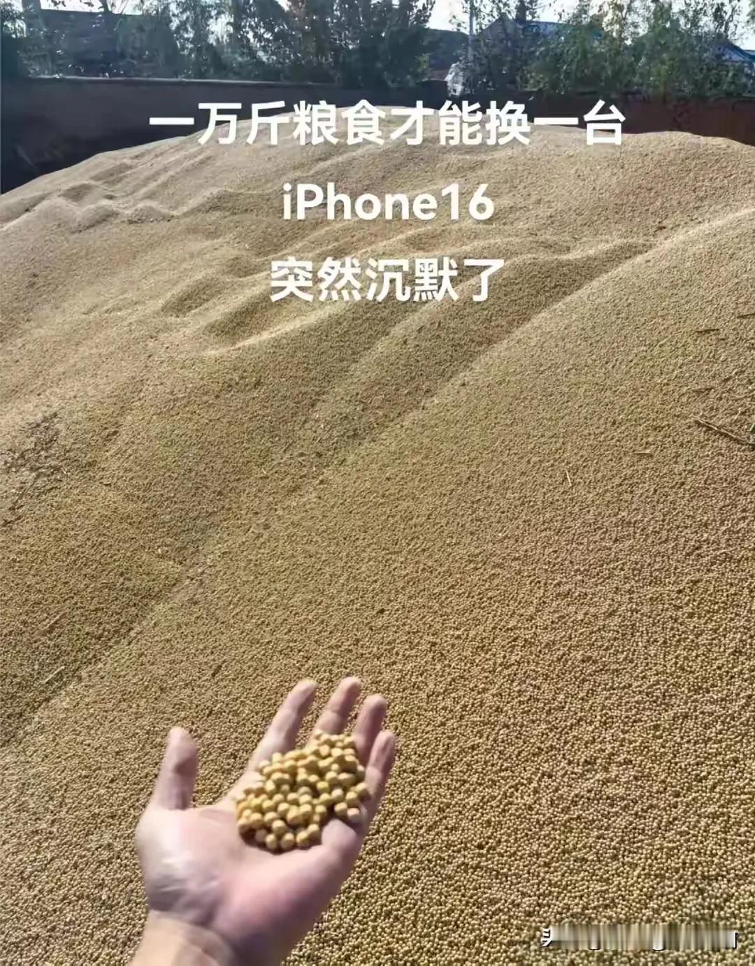 没粮食吃的时候
叫农民为农民爷爷
刚有粮食吃的时候
叫农民为农民伯伯
粮食够吃的
