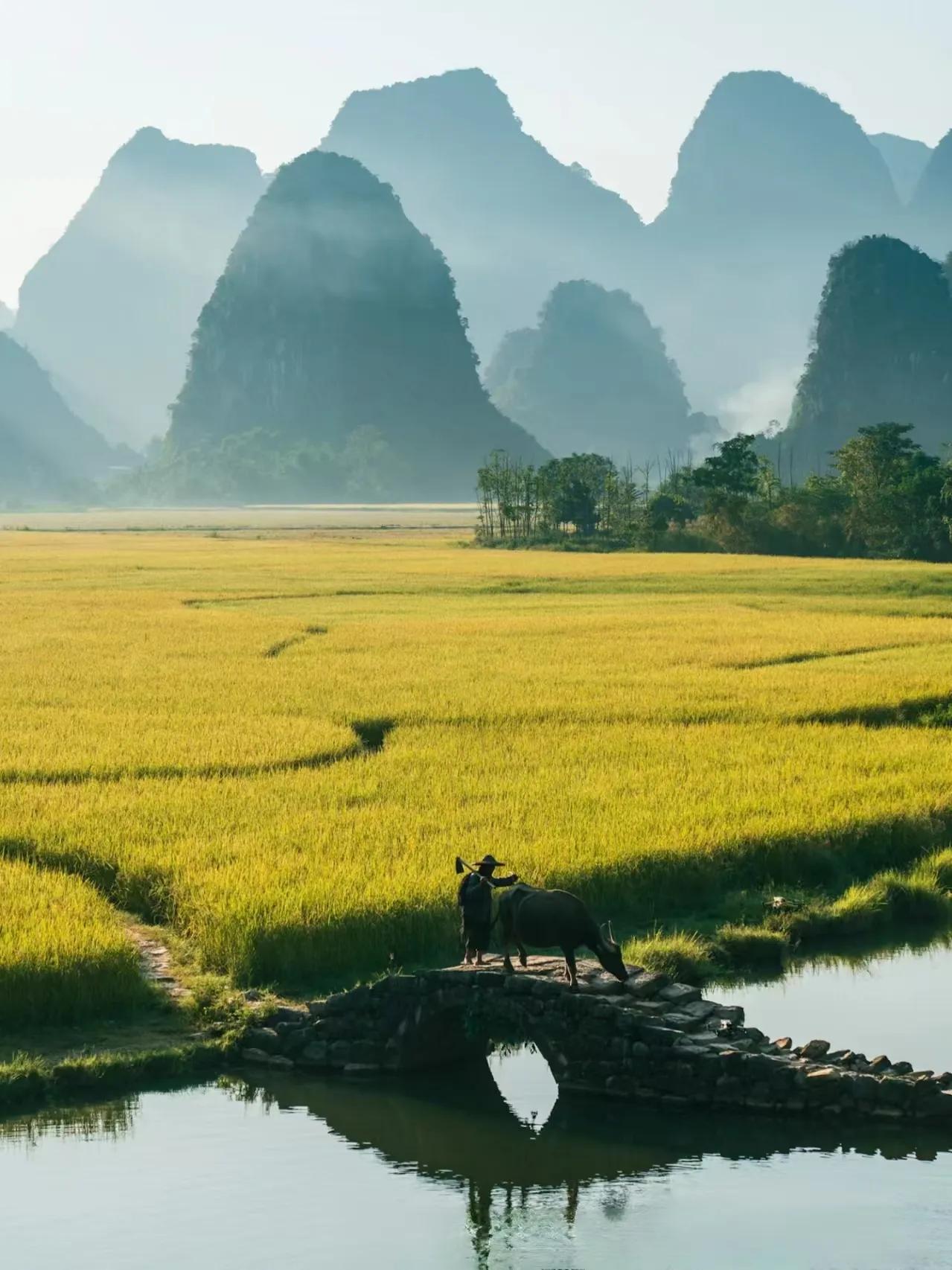 突然发现，写作，是一种倾诉。内心孤独，无处发泄，于是拿起笔，自由无拘无束的对纸诉