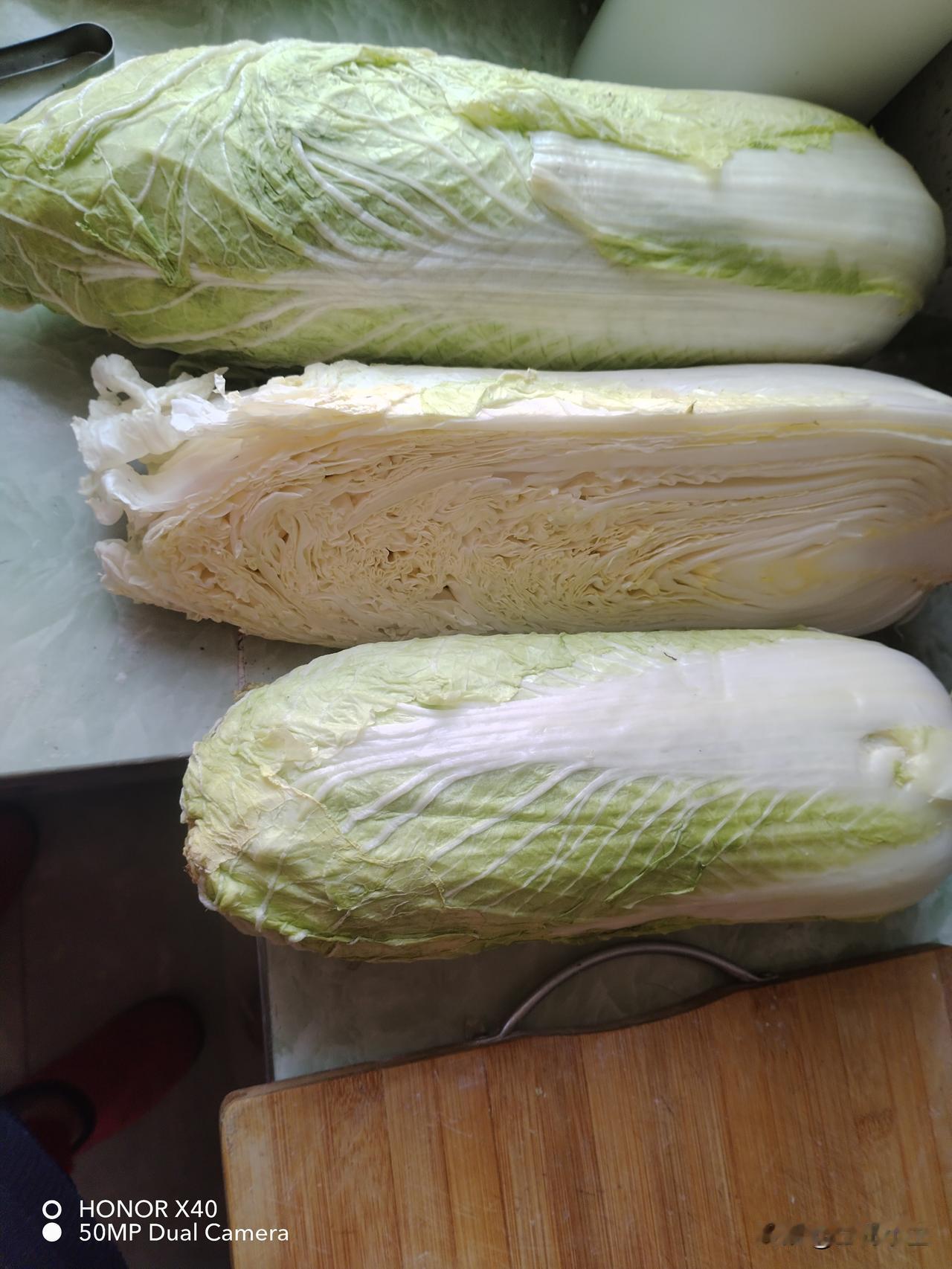 今天下雪了，早上我没出去。中午天放晴了，路上雪都化了，我去大姐家溜达一圈。给姐拿