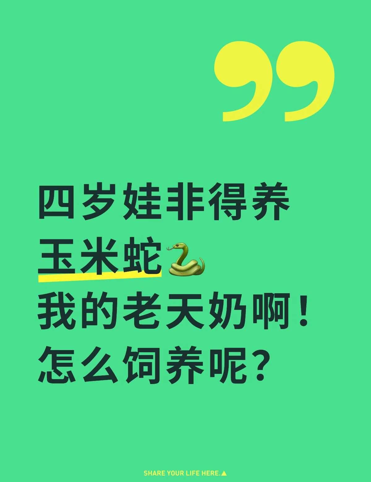 玉米蛇好养吗？
鹅子蓄能已久了，半年前溜达商场就想让我买蛇🐍
我没同意
这回又