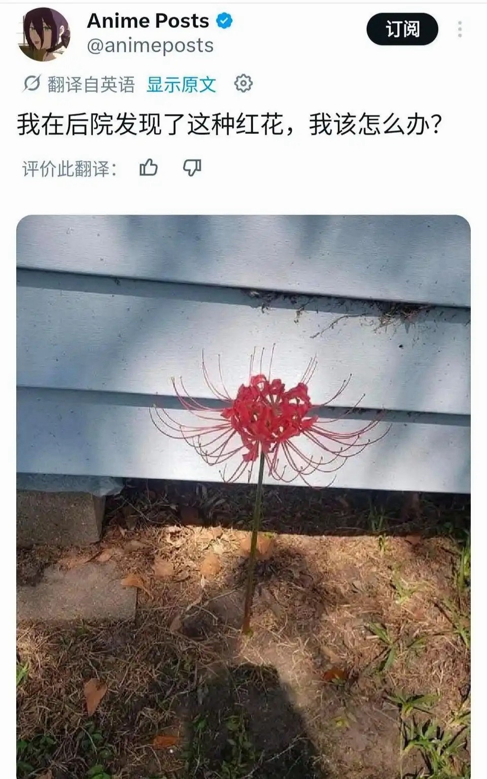 怎么办 