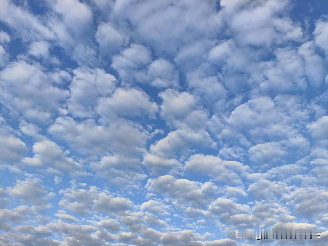 看到两只蚂蚁打架，有句话挥之不去:
求生，是生命的本能；挣扎，是生存的残忍。
说