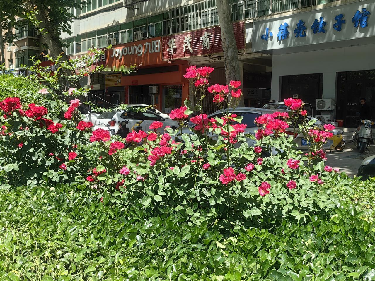 分享一下你随手拍下的照片
