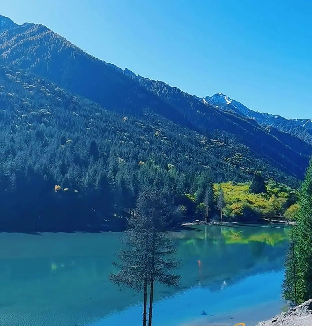 竹制脚手架消防隐患太大了！竹脚手架配着易燃的尼龙网，跟外墙留了半米空隙，遇上干燥