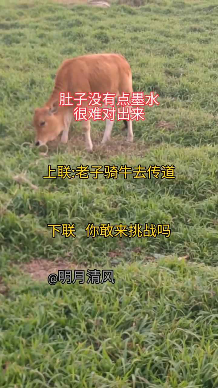 肚子没有点墨水很难对出来。上联：老子骑牛去传道。下联：你敢来挑战吗？
明月清风。