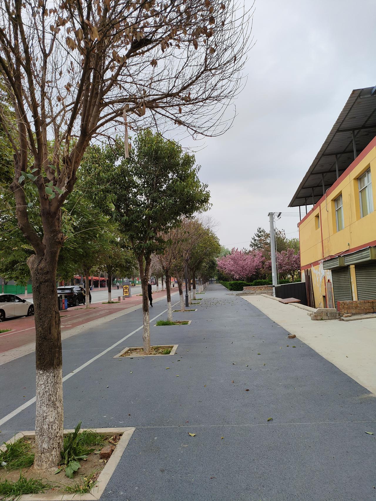 半生已过，不再奢求大富大贵，只愿日子安稳，内心平和。悟透了人间百态，就不再抱怨生