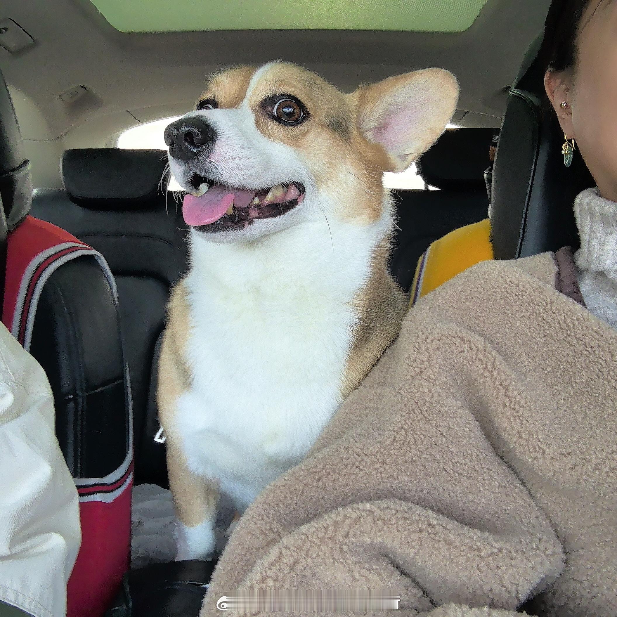 看到棒槌，我就想到，我们又多认识了一年➕ ​​​